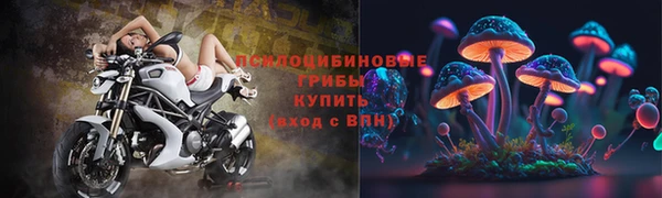 ALPHA-PVP Медногорск