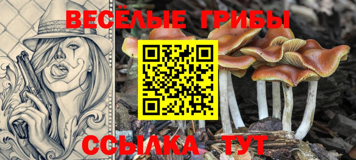 Шебекино  Псилоцибиновые грибы GOLDEN TEACHER  Галлюциногенные грибы прущие грибы  Вход с VPN 