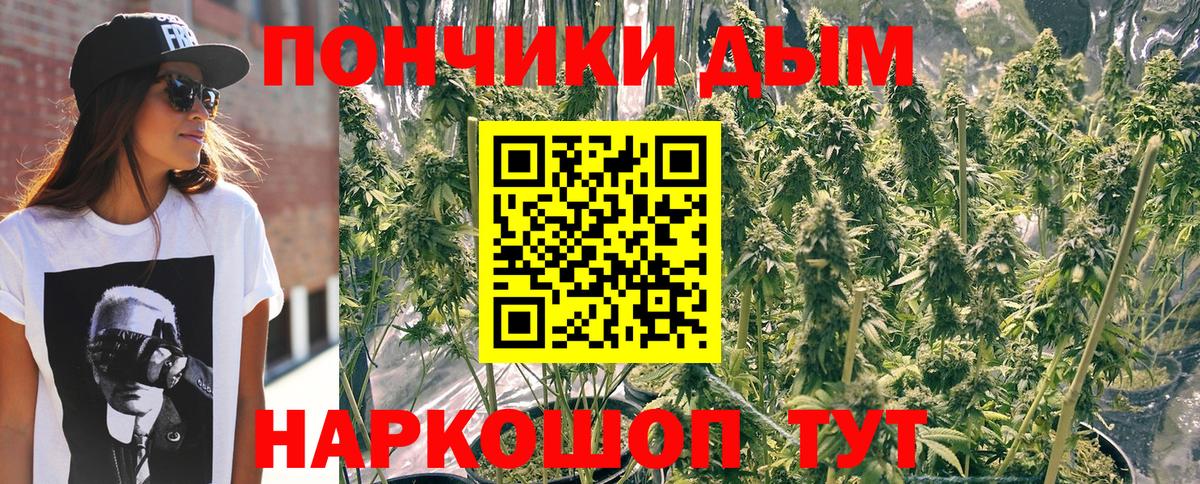 МАРИХУАНА ГИДРОПОН Шебекино